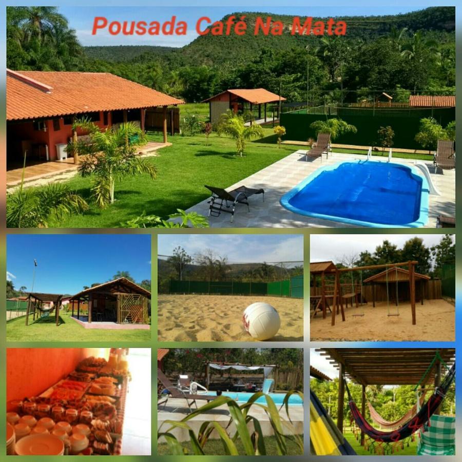Pousada Cafe Na Mata 帕尔马斯 外观 照片